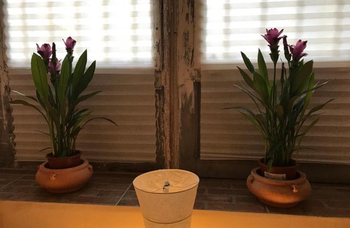 Istvanmezo Apartment | Sziget festival '23