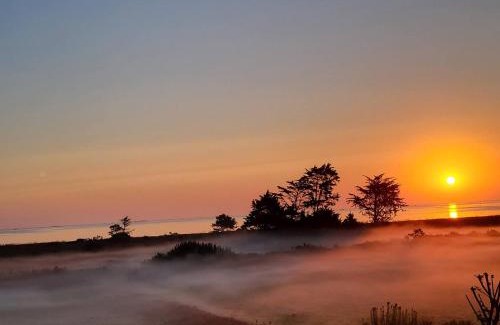 Pleubian House | T'Albert Einstein