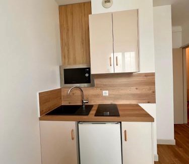 Bourges Apartment | T2 4 pers face gare SNCF Appart Hotel le Cygne D3