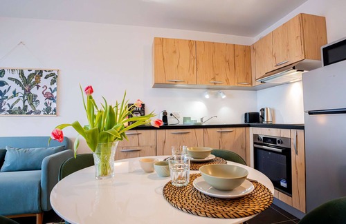 Balaruc-les-Bains Apartment | T2 Apartment with large terrace and parking