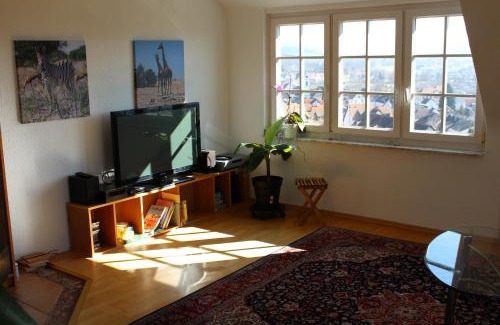 Loerrach Apartment | Talblick