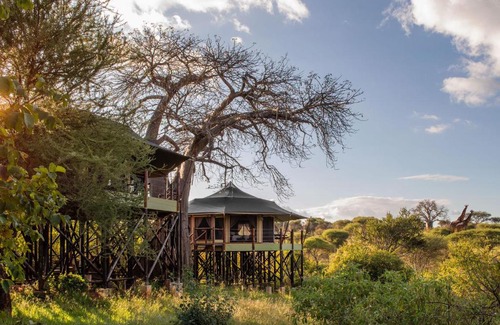 Tarangire National Park Other | TARANGIRE KURO TREETOP LODGE