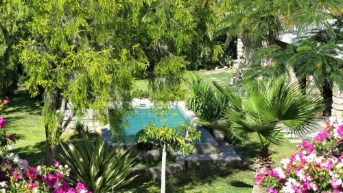 Okaukuejo House | Tarentaal Guest Farm