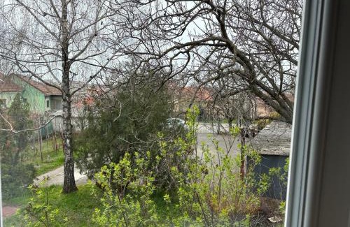 Oradea Apartment | Tau Central Apartment