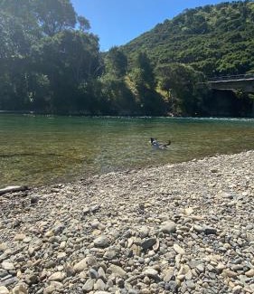 Te Kaha House | Te Kaha Beach House