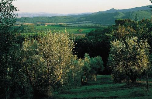 Murlo House | Tenuta Casabianca