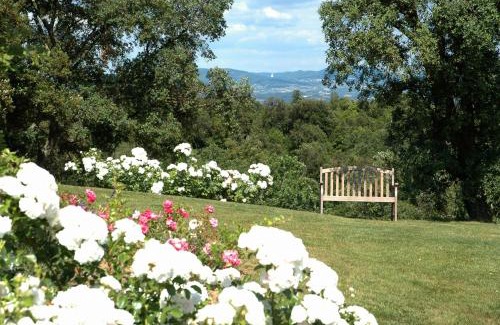 Sassetta House | Tenuta Seripa