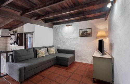 Tesbabo Apartment | Tesbabo Rural - Camelia