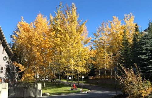 Upper Village Apartment | The Best Top Floor Ski-in/Ski-out at the Aspens