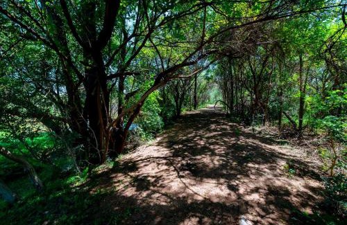 Gaborone Apartment | The Bush Cottage at Mokolodi Gaborone