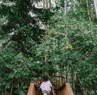 Salisbury House | The Cabin Barrington Tops Your Eco Place in Nature