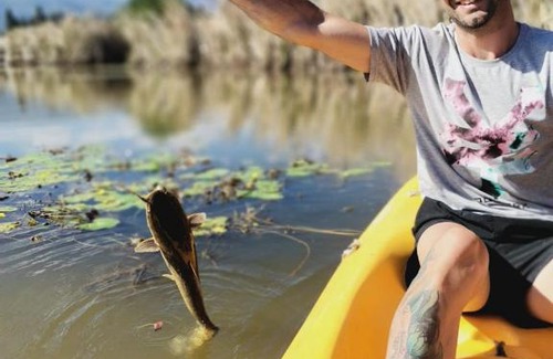 Tulbagh Other | The Camptainer. Herondale Farm
