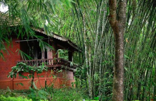 Kolagappara Resort | The Crescent Wayanad Heritage Pool Resort