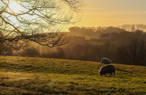 Icklesham Apartment | The Den - Winchelsea