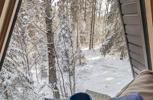 Division No. 11 Cabin | The Fern A-frame Cabin