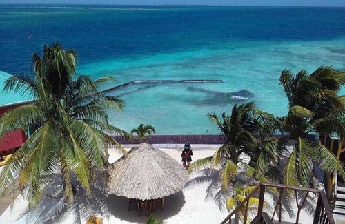 Placencia Cabin | The Green Parrot Fish at King Lewey's Island Resort, Placencia Cayes, Belize