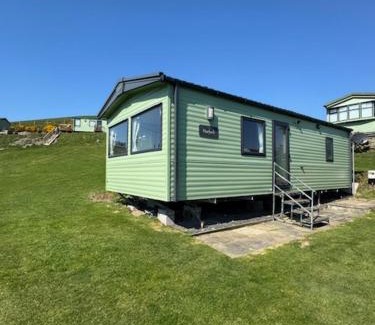Borth Other | The Harlech, Penygraig Caravan Park