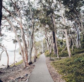 Noosa Heads Villa | The Hastings Beach Houses