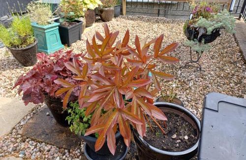 Peebles Apartment | The Hideaway