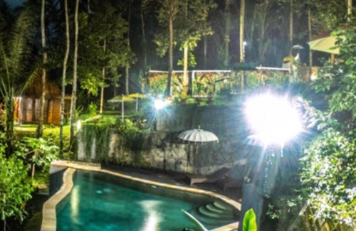 Penestanan Villa | The Jungle Villa Kelapa Ubud Bali