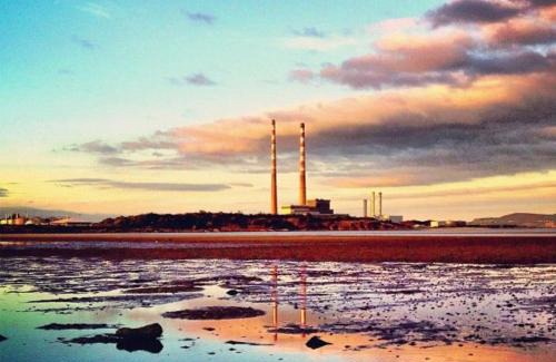 Irishtown Hotel | The Merry Cobbler