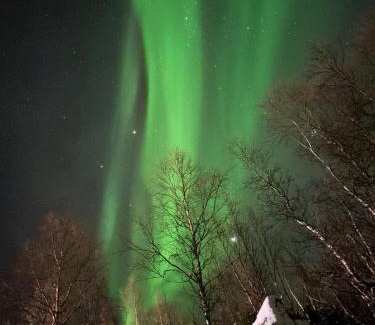 Grovfjord House | The Midnight Sun Cabin