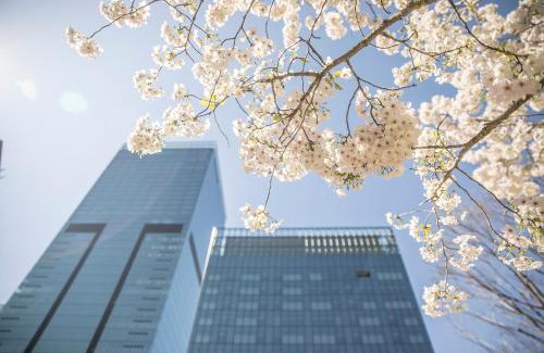 Toranomon Hotel | The Okura Tokyo