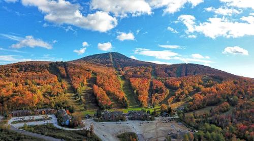 Killington Apartment | The Pico Escape- 3BR 2BA Ski On Ski Off at Pico Mountain, Close to Killington, condo