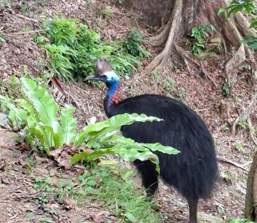 Flying Fish Point House | The Point