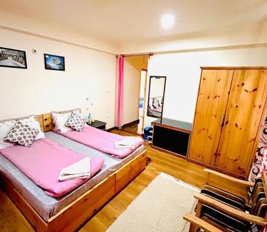 Leh House | The Puma house
