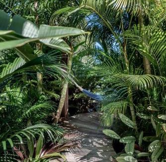 Noosa Heads House | The Rest - Stunning Noosa Family Beach Cottage With Heated Pool