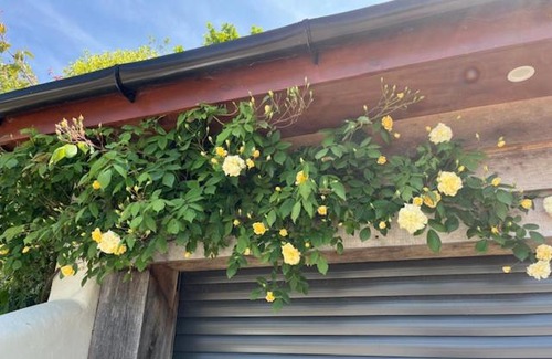 Cullompton Apartment | The Roost - a bird's eye view in the countryside