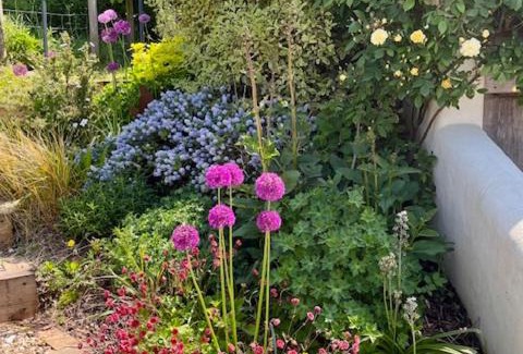 Cullompton Apartment | The Roost - a bird's eye view in the countryside