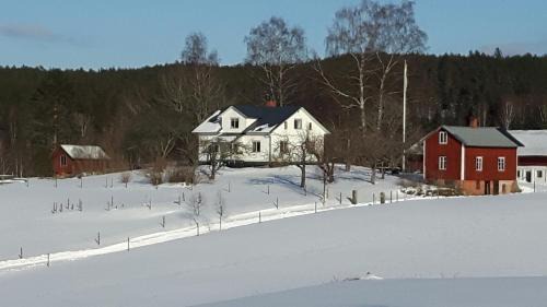 Prasthog Bed & Breakfast | The Sheep Inn B&B