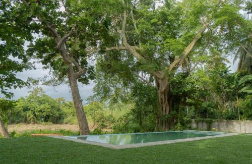 Hikkaduwa Cabin | The Smiling Leaf