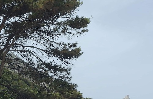 Marettimo House | The tree house - Between mountain and sea