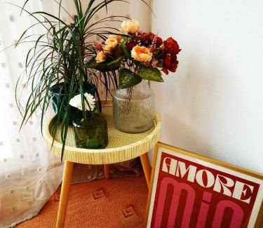 Cesky Krumlov Apartment | The View Appartment