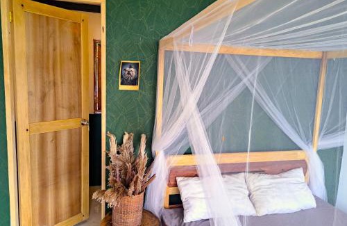 San Vicente Hotel | The View - Jungle Lodges - Port Barton