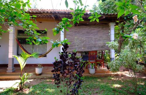 Sigiriya Bed & Breakfast | Thilina Homestay