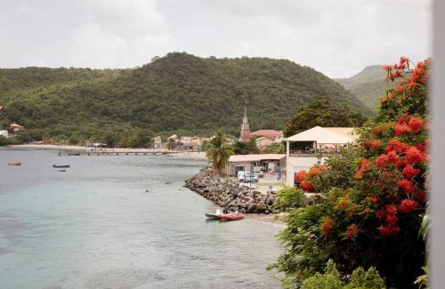 Tartane Apartment | TI PUNCH, appartement 3 pièces neuf, front de mer