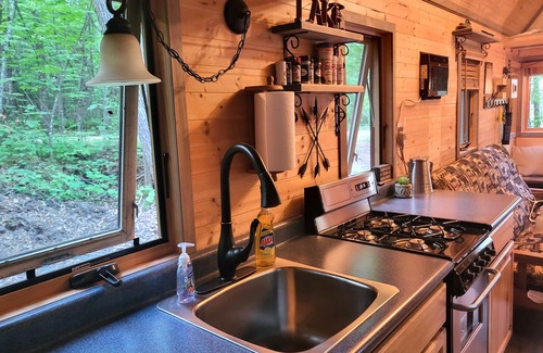 Nevis House | Tiny bungalow secluded in the woods with lake view. Pets accepted!