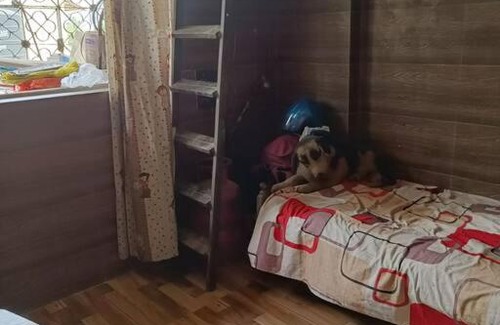 Mira Bhayandar Apartment | Tiny flat in hazzlefree society