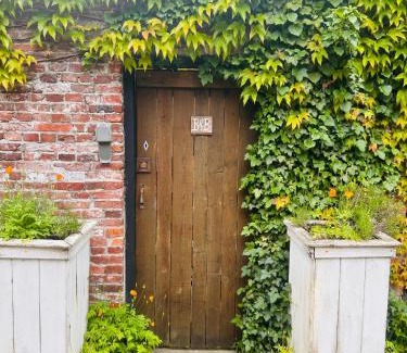 Bad Nieuweschans Ski Chalet | Tiny House Bad Nieuweschans