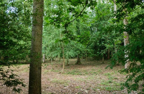 Ducey Ski Chalet | Tiny house near the Mont-Saint-Michel