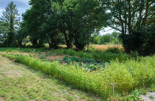 Ducey Ski Chalet | Tiny house near the Mont-Saint-Michel
