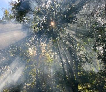 Chotevice Other | Tiny Resort Chotěvice 1