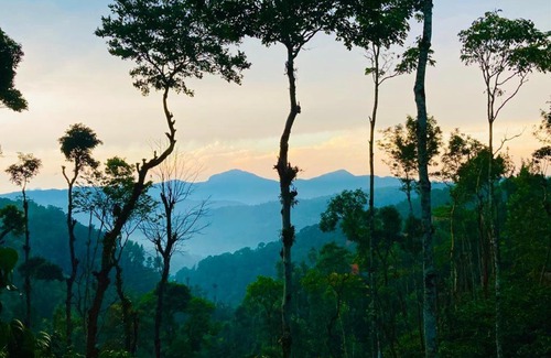 Somvarpet Ski Chalet | Tinyhouse - Hidden Valley Coorg