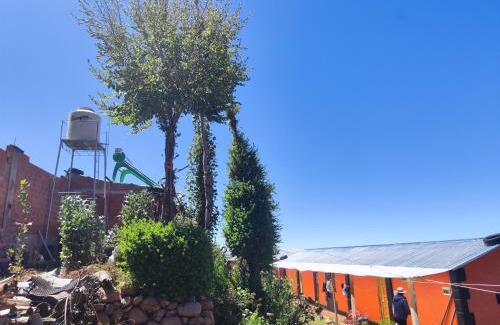Plateria Cabin | Titicaca Perka Lodge