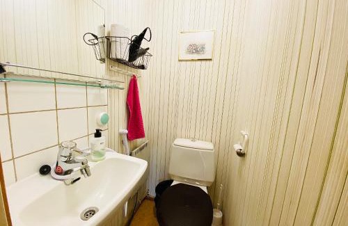 Joroinen House | Toivola