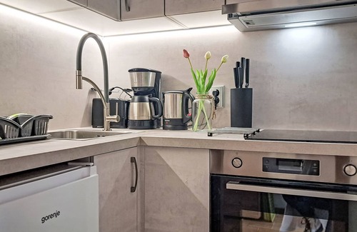 Muehlbach Am Hochkoenig Apartment | Top A45 by Interhome